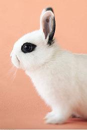 Team17发布《海参2》最新预告 将于2022年发布